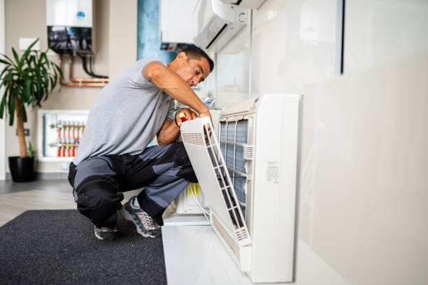 Best Home Air Vent Cleaning  in Meadview, AZ