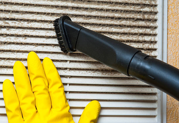 Best Air Vent Cleaning Services  in Meadview, AZ