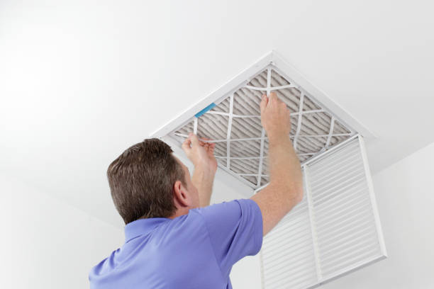 Best Residential Air Duct Cleaning  in Meadview, AZ